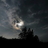 张振昊