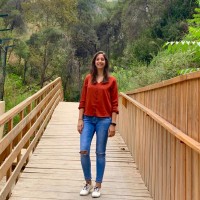 Reem Merhi
