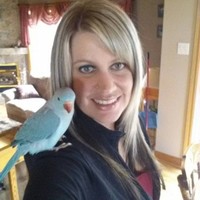 Jodi Degrace, Caib