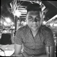 Kritharan Palanisamy