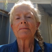 Janet Bergamo