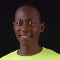 Emmanuel C Ogu