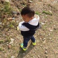 赖建强