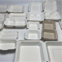 Sugarcane Bagasse Pulp Tableware
