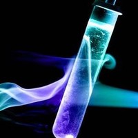 Jennifer M Canale Annal