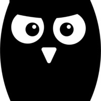 Martin Owlson