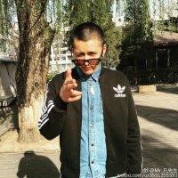 大依霖