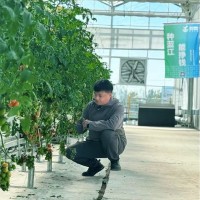 关立营