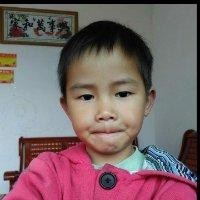 赵善飞
