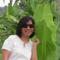 Molina Musa