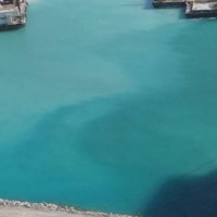 Alhoseny Atef