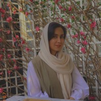 Afsaneh Mirarabshahi