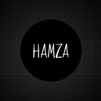 Syed Hamza Hussain Shah