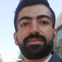 Majd Shalghin