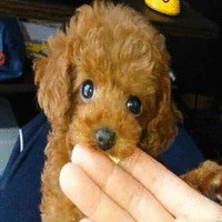 孔令志