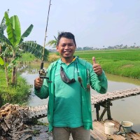 Dede Irawan