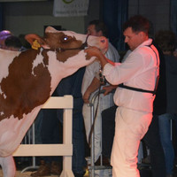 Ger Van Hest