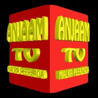 Anjaam Tv