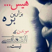 Farshad K