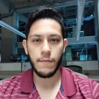 Jesús David Briceño Salazar