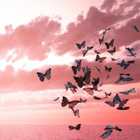 Emine Kim Buber