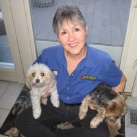 Katherine Simkins