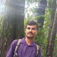 Rajashekar A