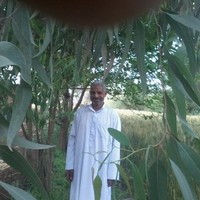 السيد شحاته