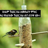 Abou Anwar