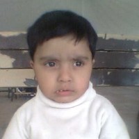 Sheikh Hamid