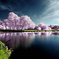 丁思为