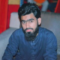 Hamid Janjua