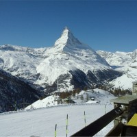 MARIA DO CEU OLIVEIRA