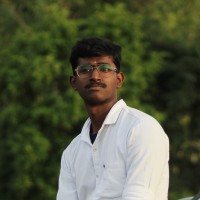 Vikraman P