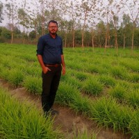 Diwakar Vikram Singh