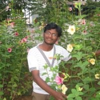 Sateesh Kedarnath Kumar