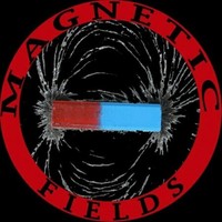 Magnetic Fields