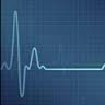 Mojtaba S