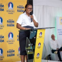 Nomsa Mufandauya