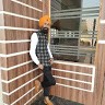 Pawandeep Singh