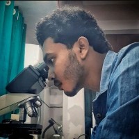 Manish Pramanik
