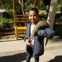 Monzer Ayman