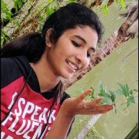 Preethi Pannerselvem