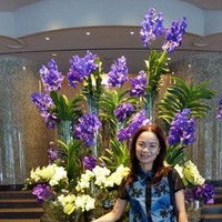 Malasri Fangseephol