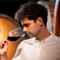 Marco Volpi