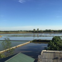 Đức Việt Nguyễn