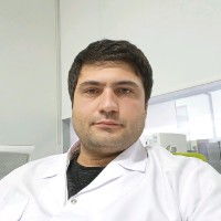 Erdem K.