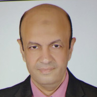 Tarek Bassiouni