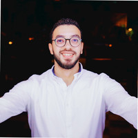 Mahmoud Eltarabily