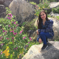 Mitzi Andrea Alvarez Parra